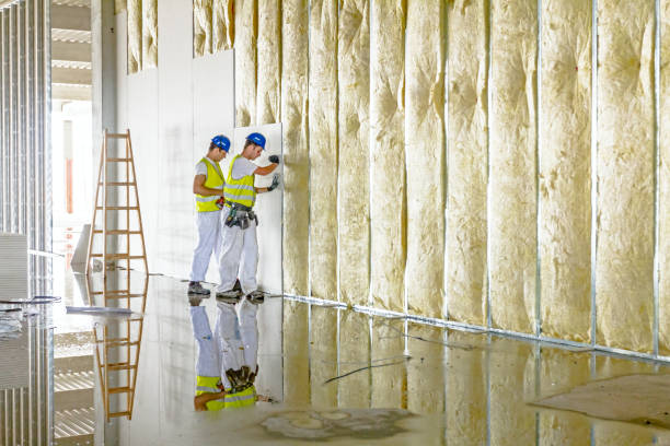 Best Insulation Maintenance and Repair in Wolfdale, PA